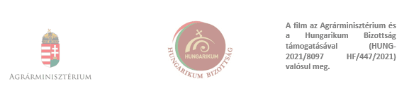logok