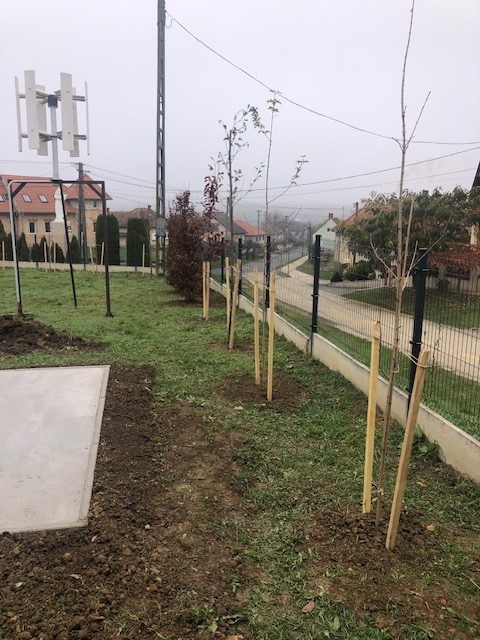 El&uuml;ltett&eacute;k az &uacute;j f&aacute;kat &eacute;s lealapozt&aacute;k a k&uuml;lt&eacute;riegys&eacute;g hely&eacute;t